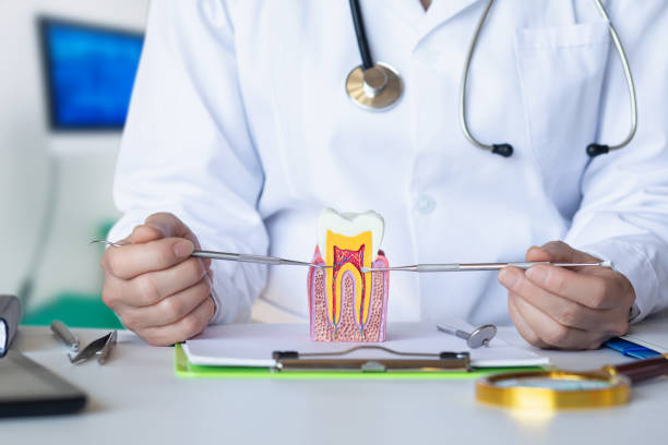 Best Same-Day Emergency Dental Services in Watseka, IL